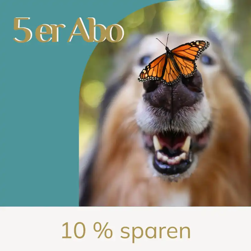 Hund mit einem Schmetterling auf der Nase. Anzeige für ein 5er Abo mit 10% Einsparung