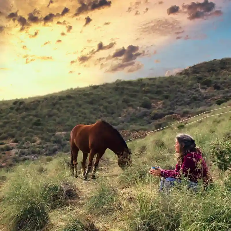 TK_header Eine Frau sitzend auf einer hügeligen Weide im Sonnernuntergang, zusammen mit einem weidenden, braunen Pferd.