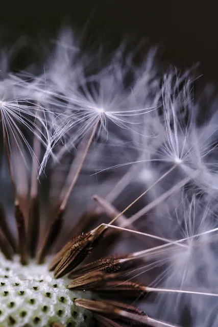 einen-guten-clearing-praktiker-finden