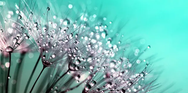 wie-funktioniert-ein-energetisches-clearing